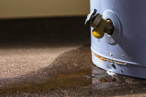 Best Ceiling water damage repair  in Bee Cave, TX