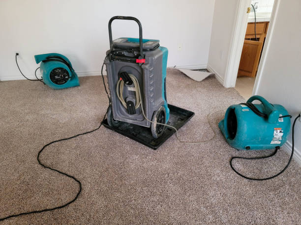 Best Carpet water damage restoration  in Bee Cave, TX