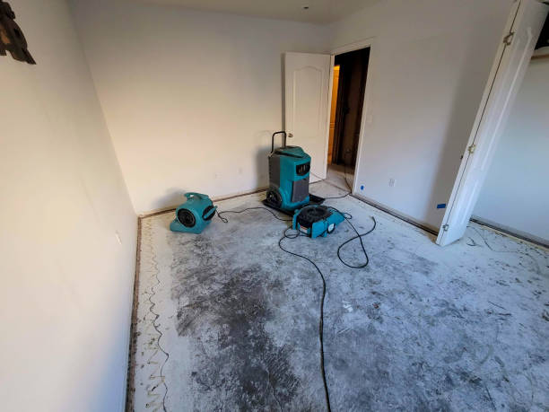 Best Water damage restoration near me  in Bee Cave, TX