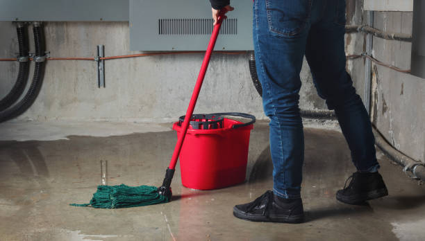  Bee Cave, TX Water damage restoration Pros