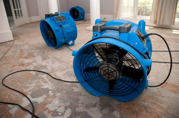 Best Local water damage restoration  in Bee Cave, TX