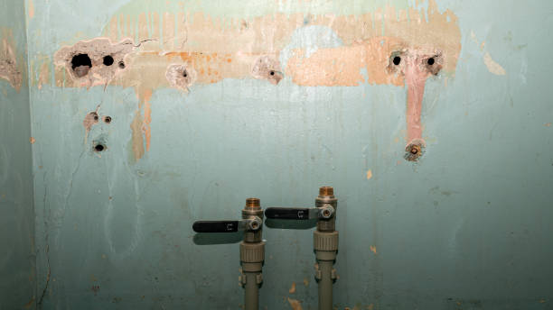 Reliable Bee Cave, TX Water damage restoration Solutions