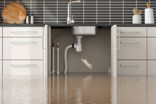 Best Water damage restoration near me  in Bee Cave, TX